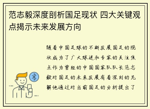 范志毅深度剖析国足现状 四大关键观点揭示未来发展方向