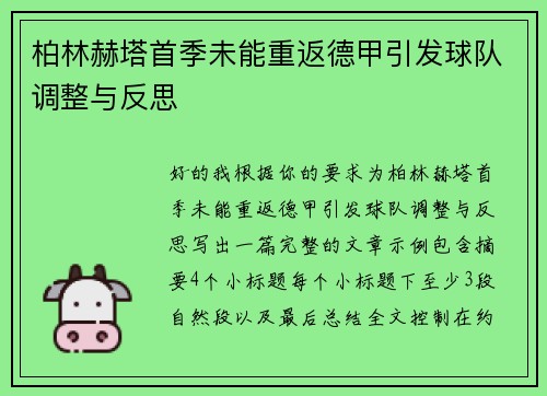 柏林赫塔首季未能重返德甲引发球队调整与反思
